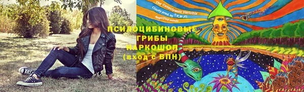 mix Кодинск